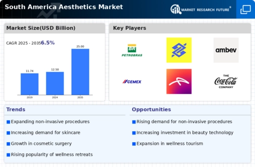 South America Aesthetics Market Infographic