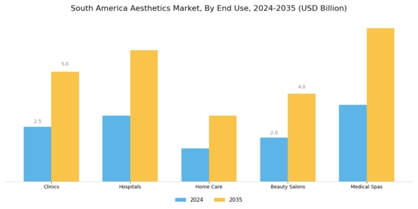 South America Aesthetics Market Segment Image 1