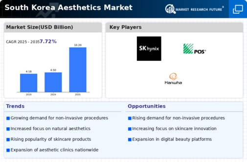 South Korea Aesthetics Market Infographic