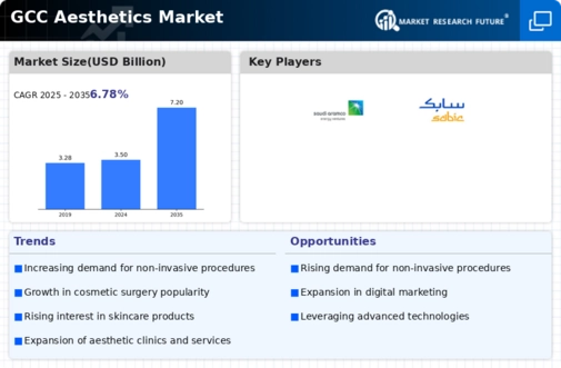 GCC Aesthetics Market Infographic