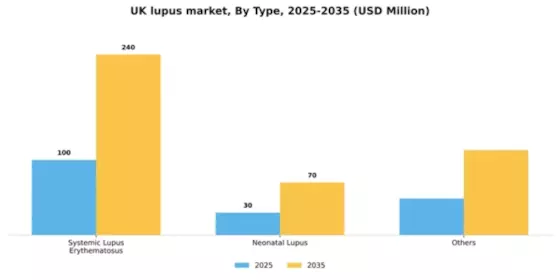 UK Lupus Market Segment Image 2
