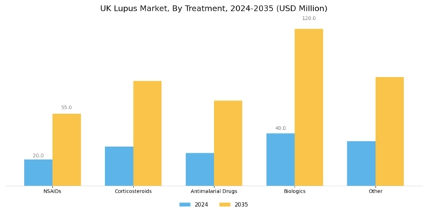 UK Lupus Market Segment Image 1