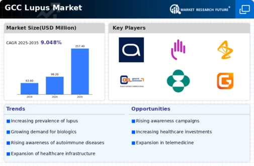 GCC Lupus Market Infographic