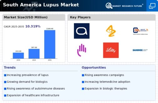 South America Lupus Market Infographic