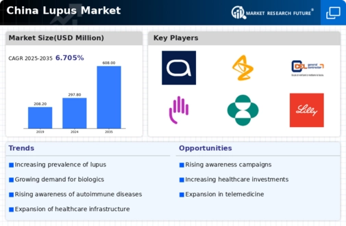 China Lupus Market Infographic