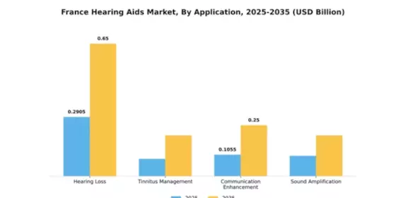 France Hearing Aids Market Segment Image 0