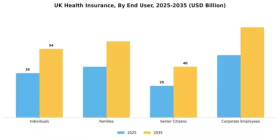 UK Health Insurance Market Segment Image 1