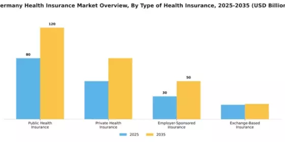 Germany Health Insurance Market Segment Image 3
