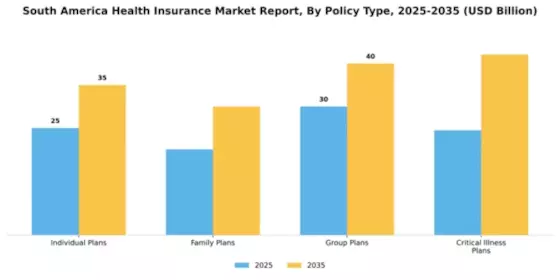 South America Health Insurance Market Segment Image 2