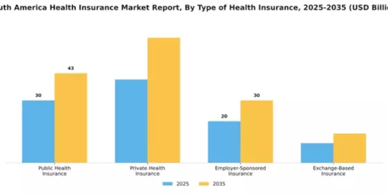 South America Health Insurance Market Segment Image 3