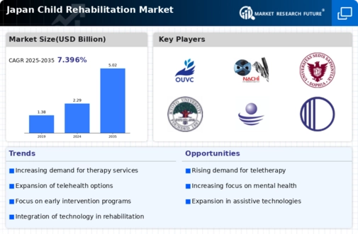 Japan Child Rehabilitation Market Infographic