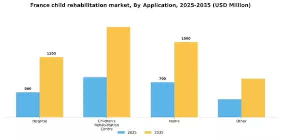 France Child Rehabilitation Market Segment Image 0
