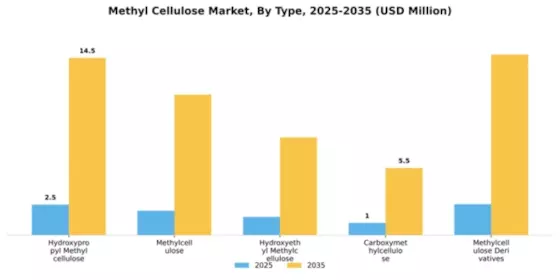 Methyl Cellulose Market Segment Image 2
