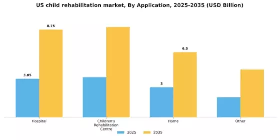 US Child Rehabilitation Market Segment Image 0