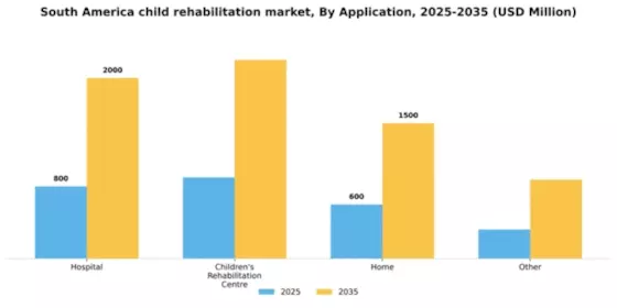 South America Child Rehabilitation Market Segment Image 0