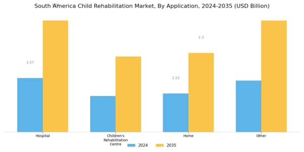 South America Child Rehabilitation Market Segment Image 1