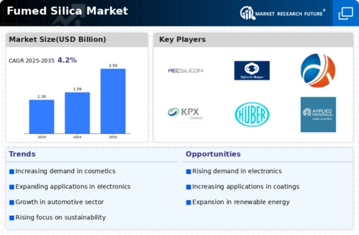 Fumed Silica Market Infographic