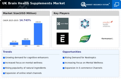 UK Brain Health Supplements Market Infographic