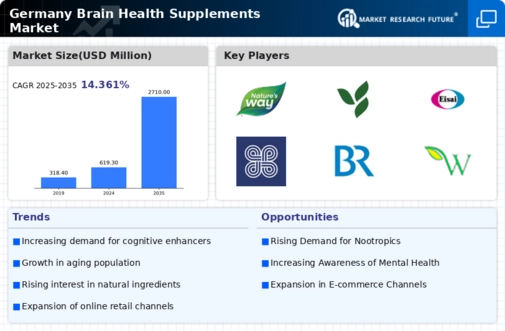 Germany Brain Health Supplements Market Infographic