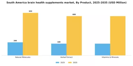 South America Brain Health Supplements Market Segment Image 1