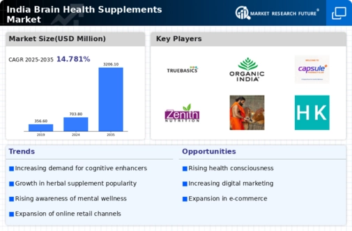 India Brain Health Supplements Market Infographic