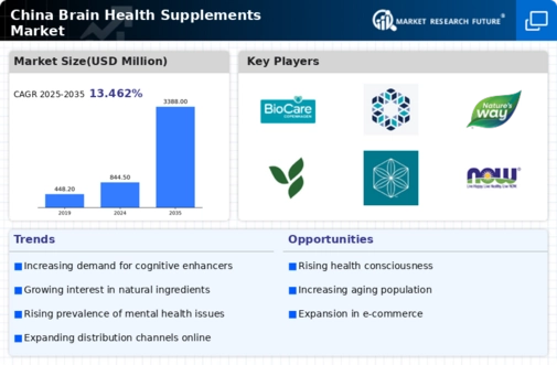 China Brain Health Supplements Market Infographic