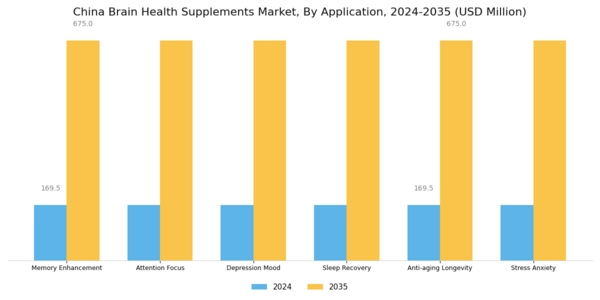 China Brain Health Supplements Market Segment Image 1