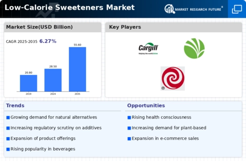 Low Calorie Sweeteners Market Infographic
