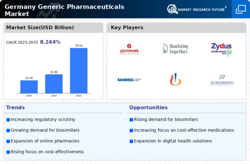 Germany Generic Pharmaceuticals Market Infographic