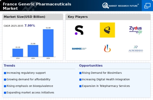 France Generic Pharmaceuticals Market Infographic