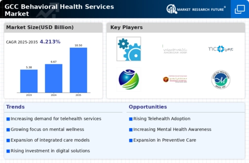 GCC Behavioral Health Services Market Infographic