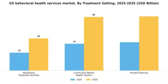 US Behavioral Health Services Market Segment Image 3