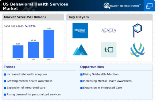 US Behavioral Health Services Market Infographic