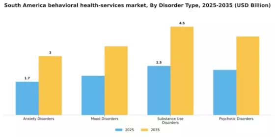 South America Behavioral Health Services Market Segment Image 1