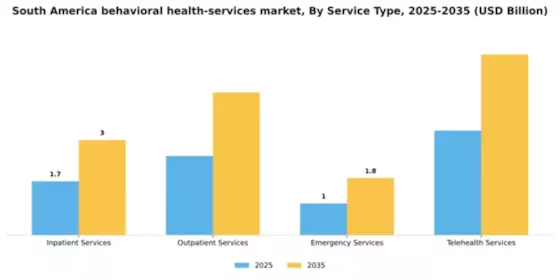 South America Behavioral Health Services Market Segment Image 2
