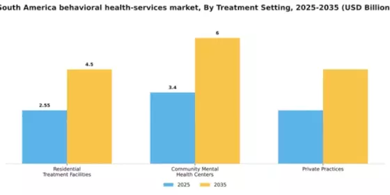 South America Behavioral Health Services Market Segment Image 3