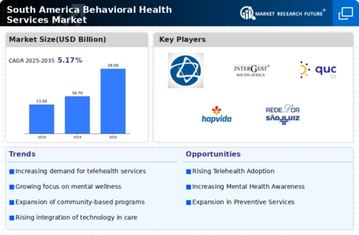 South America Behavioral Health Services Market Infographic