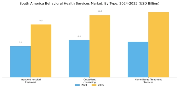 South America Behavioral Health Services Market Segment Image 0