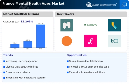 France Mental Health Apps Market Infographic