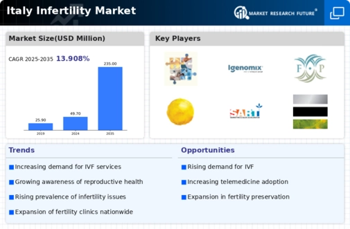 Italy Infertility Market Infographic