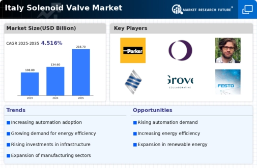 Italy Solenoid Valve Market Infographic