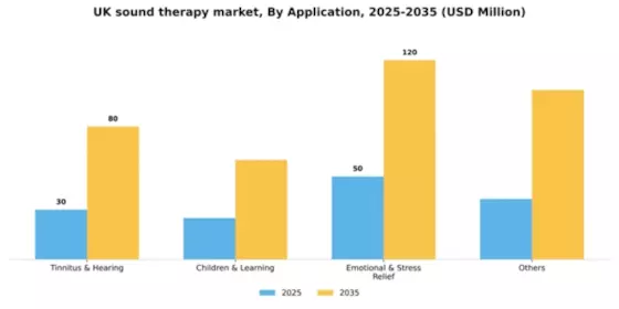 UK Sound Therapy Market Segment Image 0