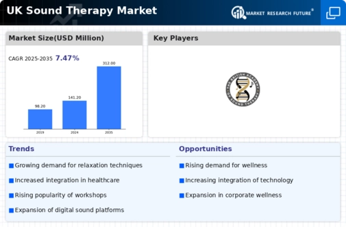 UK Sound Therapy Market Infographic