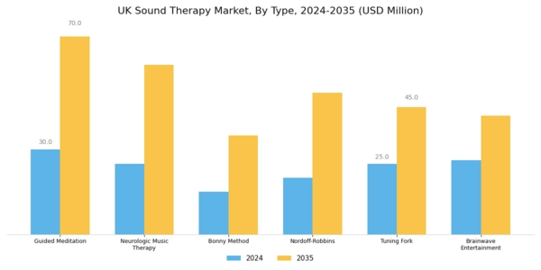 UK Sound Therapy Market Segment Image 0