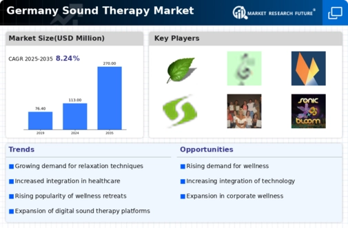Germany Sound Therapy Market Infographic