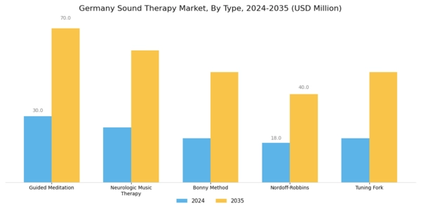Germany Sound Therapy Market Segment Image 0