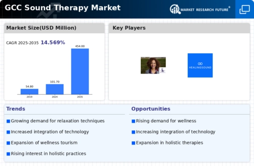 GCC Sound Therapy Market Infographic
