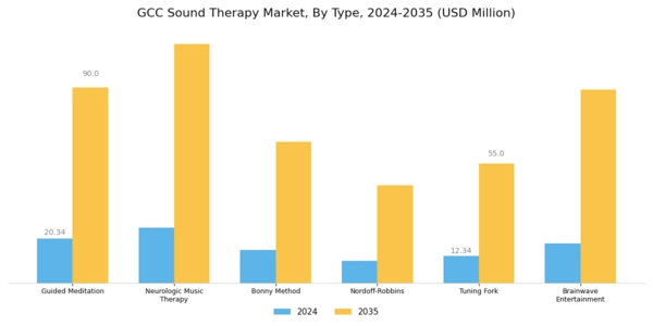 GCC Sound Therapy Market Segment Image 0