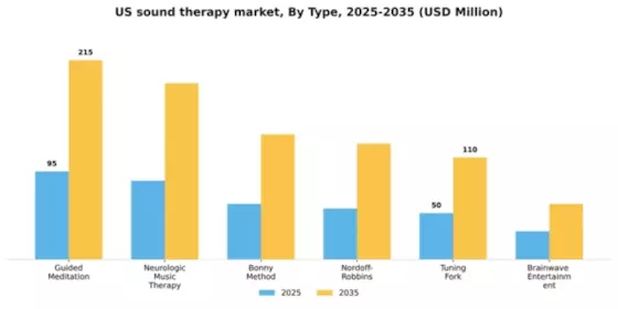 US Sound Therapy Market Segment Image 1