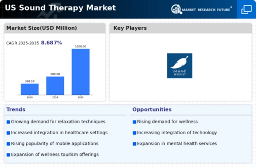 US Sound Therapy Market Infographic